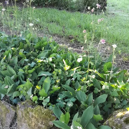 La Bergerie Сasa de vacaciones Saint-Quentin-sur-le-Homme