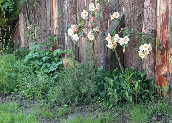 La Bergerie Dom wakacyjny