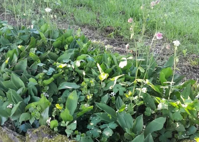 La Bergerie Dom wakacyjny Saint-Quentin-sur-le-Homme