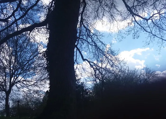 בית נופש La Bergerie Saint-Quentin-sur-le-Homme